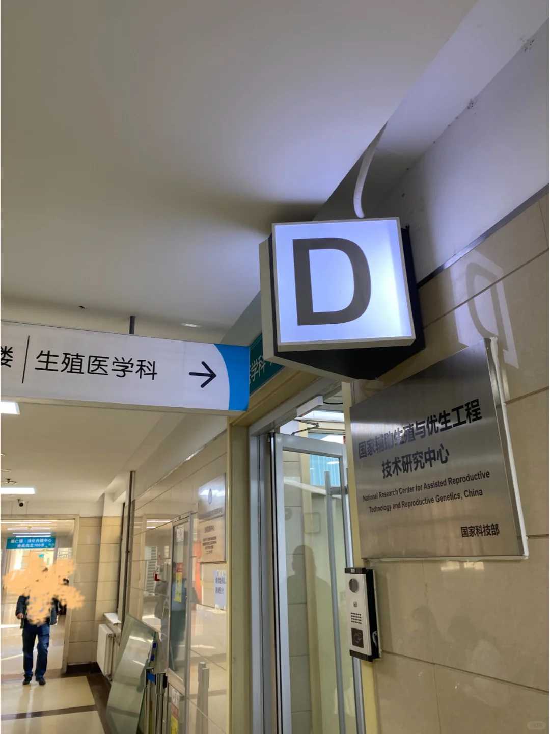 供卵怀孕是怎么回事？从身体评估到移植全流程拆解